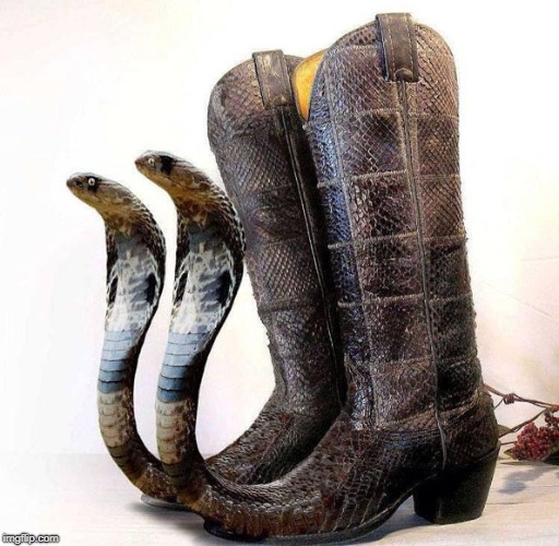 Cowboy Boots Probably Custom-made for the Devil | image tagged in ssssss,snek walkers,don't playpoker with this guy,bespoke becursed | made w/ Imgflip meme maker