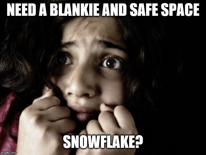 NEED A BLANKIE AND SAFE SPACE SNOWFLAKE? | made w/ Imgflip meme maker
