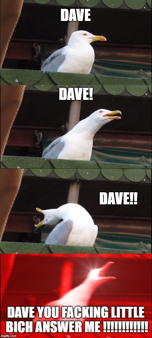 Inhaling Seagull Meme | DAVE; DAVE! DAVE!! DAVE YOU FACKING LITTLE BICH ANSWER ME !!!!!!!!!!!! | image tagged in memes,inhaling seagull | made w/ Imgflip meme maker