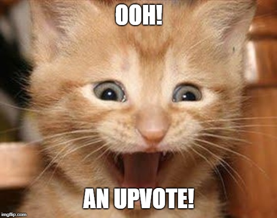 Excited Cat Meme | OOH! AN UPVOTE! | image tagged in memes,excited cat | made w/ Imgflip meme maker
