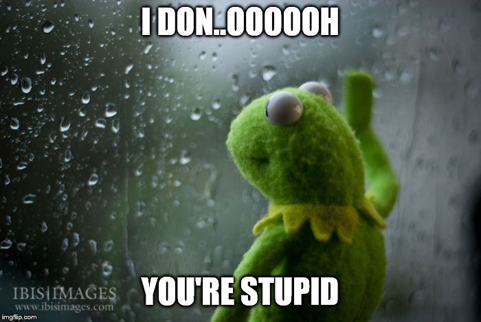 kermit window | I DON..OOOOOH YOU'RE STUPID | image tagged in kermit window | made w/ Imgflip meme maker