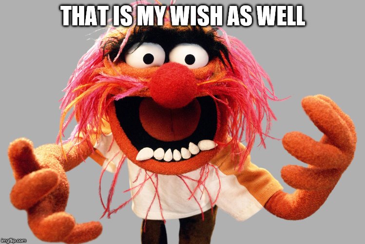 animal muppets | THAT IS MY WISH AS WELL | image tagged in animal muppets | made w/ Imgflip meme maker