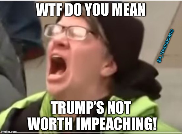 Mueller needs to investigate Nancy Pelosi!!! | WTF DO YOU MEAN; @4_TOUCHDOWNS; TRUMP’S NOT WORTH IMPEACHING! | image tagged in screaming liberal,impeach trump,nancy pelosi,libtards | made w/ Imgflip meme maker