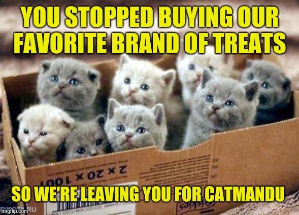 Hey, they have yak-flavored treats there | YOU STOPPED BUYING OUR FAVORITE BRAND OF TREATS; SO WE'RE LEAVING YOU FOR CATMANDU | image tagged in box of cats,memes,cats,cute kittens,i can't believe it,we are number one | made w/ Imgflip meme maker