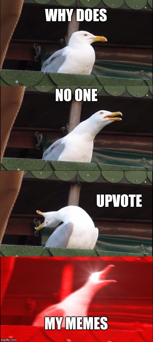 Inhaling Seagull Meme | WHY DOES; NO ONE; UPVOTE; MY MEMES | image tagged in memes,inhaling seagull | made w/ Imgflip meme maker