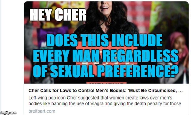 HEY CHER | HEY CHER; DOES THIS INCLUDE EVERY MAN REGARDLESS OF SEXUAL PREFERENCE? | image tagged in xher,gay men,gay pride | made w/ Imgflip meme maker