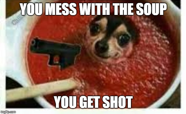 Dog in a soup with a gun | YOU MESS WITH THE SOUP; YOU GET SHOT | image tagged in doggo | made w/ Imgflip meme maker