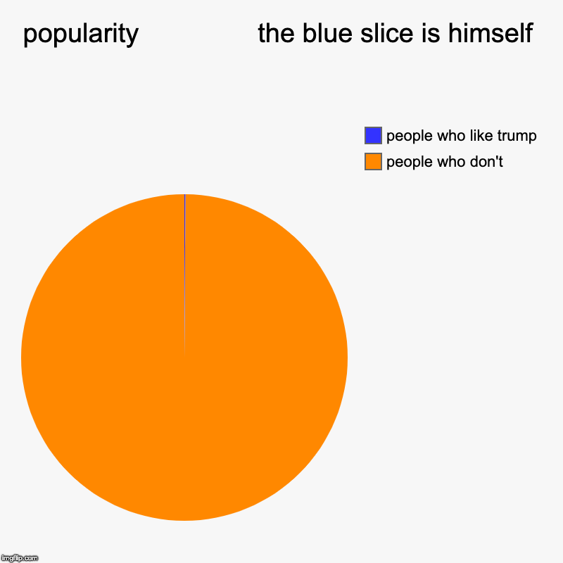 popularity                the blue slice is himself | people who don't, people who like trump | image tagged in charts,pie charts | made w/ Imgflip chart maker