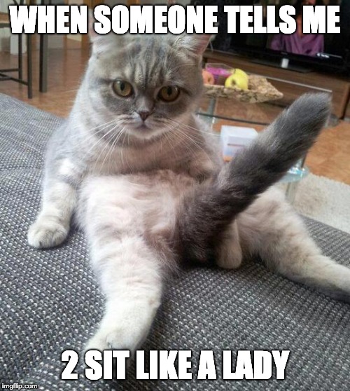 Sexy Cat | WHEN SOMEONE TELLS ME; 2 SIT LIKE A LADY | image tagged in memes,sexy cat | made w/ Imgflip meme maker