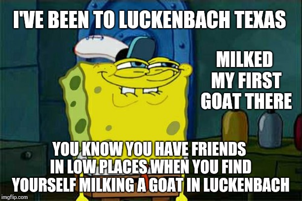 The Only Two Things In Life That Make It Worth Livin' Is Guitars That Tune Good And Firm Feelin' Women | I'VE BEEN TO LUCKENBACH TEXAS; MILKED MY FIRST GOAT THERE; YOU KNOW YOU HAVE FRIENDS IN LOW PLACES WHEN YOU FIND YOURSELF MILKING A GOAT IN LUCKENBACH | image tagged in memes,dont you squidward,texas girl,texas,country music,individuality | made w/ Imgflip meme maker