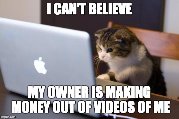 Cat using computer | I CAN'T BELIEVE; MY OWNER IS MAKING MONEY OUT OF VIDEOS OF ME | image tagged in cat using computer | made w/ Imgflip meme maker