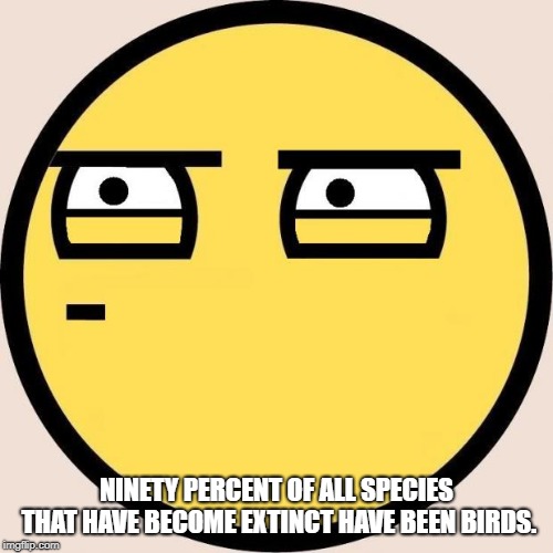 Random, Useless Fact of the Day | NINETY PERCENT OF ALL SPECIES THAT HAVE BECOME EXTINCT HAVE BEEN BIRDS. | image tagged in random useless fact of the day | made w/ Imgflip meme maker