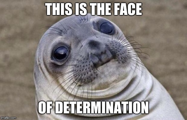 Awkward Moment Sealion Meme | THIS IS THE FACE; OF DETERMINATION | image tagged in memes,awkward moment sealion | made w/ Imgflip meme maker