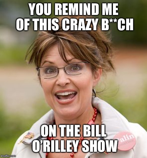Sarah Palin | YOU REMIND ME OF THIS CRAZY B**CH ON THE BILL O’RILLEY SHOW | image tagged in sarah palin | made w/ Imgflip meme maker