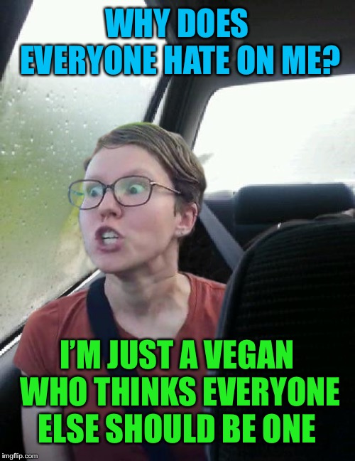 introspective triggered feminist | WHY DOES EVERYONE HATE ON ME? I’M JUST A VEGAN WHO THINKS EVERYONE ELSE SHOULD BE ONE | image tagged in introspective triggered feminist | made w/ Imgflip meme maker