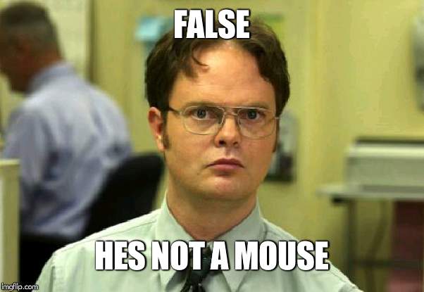 Dwight Schrute Meme | FALSE HES NOT A MOUSE | image tagged in memes,dwight schrute | made w/ Imgflip meme maker