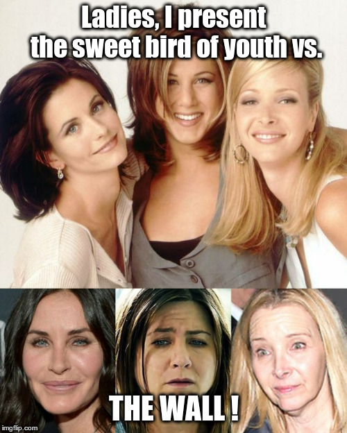 Friends | Ladies, I present the sweet bird of youth vs. THE WALL ! | image tagged in friends | made w/ Imgflip meme maker