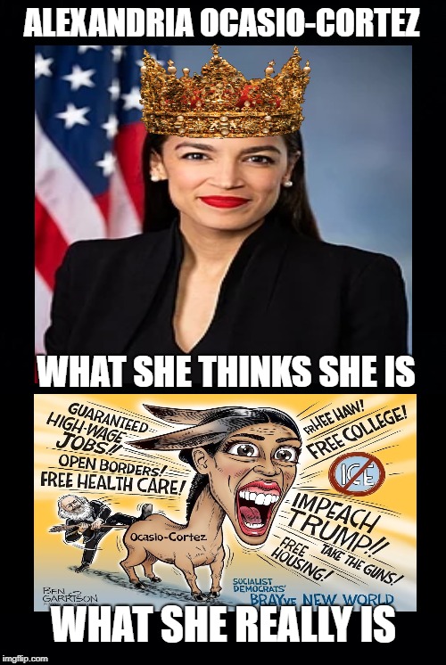 ALEXANDRIA OCASIO-CORTEZ; WHAT SHE THINKS SHE IS; WHAT SHE REALLY IS | image tagged in alexandria ocasio-cortez,crazy alexandria ocasio-cortez,democratic socialism,democratic party | made w/ Imgflip meme maker