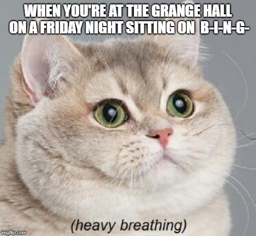 Heavy Breathing Cat | WHEN YOU'RE AT THE GRANGE HALL ON A FRIDAY NIGHT SITTING ON  B-I-N-G- | image tagged in memes,heavy breathing cat | made w/ Imgflip meme maker