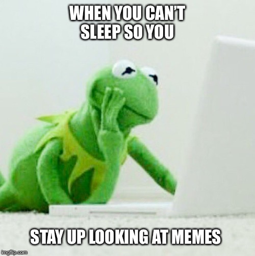 WHEN YOU CAN’T SLEEP SO YOU; STAY UP LOOKING AT MEMES | image tagged in kermit the frog,memes,cant sleep,web surfing,insomnia,tired | made w/ Imgflip meme maker