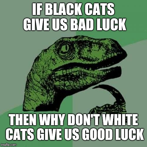 Philosoraptor Meme | IF BLACK CATS GIVE US BAD LUCK; THEN WHY DON'T WHITE CATS GIVE US GOOD LUCK | image tagged in memes,philosoraptor | made w/ Imgflip meme maker
