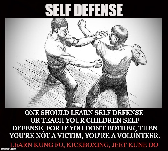 The Tao of Combat | SELF DEFENSE; ONE SHOULD LEARN SELF DEFENSE OR TEACH YOUR CHILDREN SELF DEFENSE,
FOR IF YOU DON'T BOTHER, THEN YOU'RE NOT A VICTIM, YOU'RE A VOLUNTEER. LEARN KUNG FU, KICKBOXING, JEET KUNE DO | image tagged in kung fu,self defense,martial arts,jkd,kickboxing,combat | made w/ Imgflip meme maker