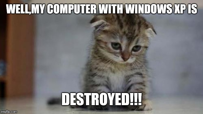 Sad kitten | WELL,MY COMPUTER WITH WINDOWS XP IS; DESTROYED!!! | image tagged in sad kitten | made w/ Imgflip meme maker