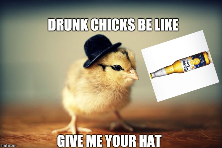 Little chick bowler hat | DRUNK CHICKS BE LIKE; GIVE ME YOUR HAT | image tagged in little chick bowler hat | made w/ Imgflip meme maker