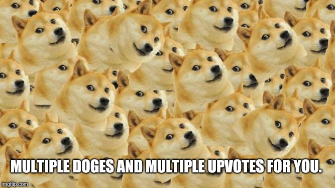 Multi Doge Meme | MULTIPLE DOGES AND MULTIPLE UPVOTES FOR YOU. | image tagged in memes,multi doge | made w/ Imgflip meme maker