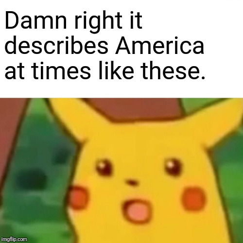 Surprised Pikachu Meme | Damn right it describes America at times like these. | image tagged in memes,surprised pikachu | made w/ Imgflip meme maker