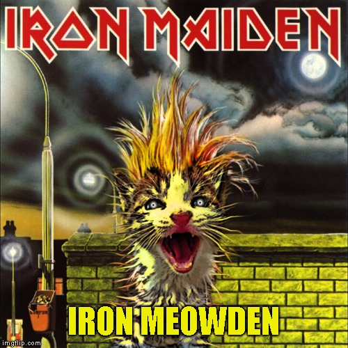 IRON MEOWDEN | made w/ Imgflip meme maker