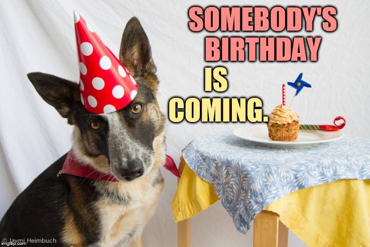 SOMEBODY'S BIRTHDAY IS COMING. | made w/ Imgflip meme maker