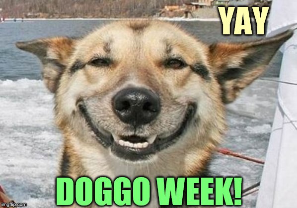 YAY DOGGO WEEK! | made w/ Imgflip meme maker