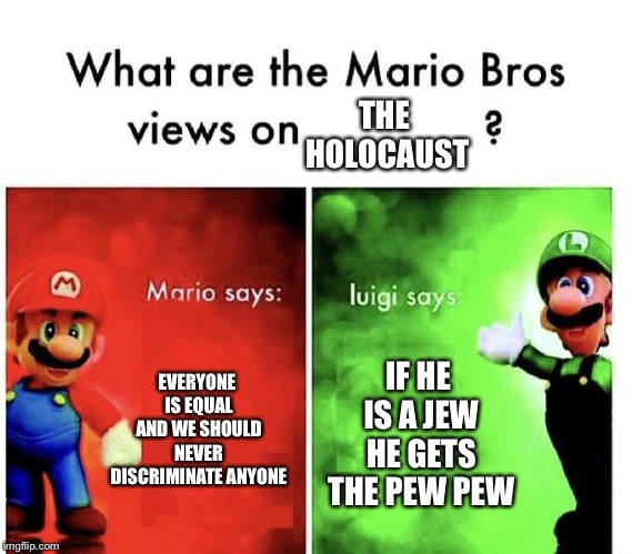 Mario Bros Views | THE HOLOCAUST; EVERYONE IS EQUAL AND WE SHOULD NEVER DISCRIMINATE ANYONE; IF HE IS A JEW HE GETS THE PEW PEW | image tagged in mario bros views | made w/ Imgflip meme maker