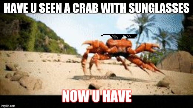 Crab rave gif | HAVE U SEEN A CRAB WITH SUNGLASSES; NOW U HAVE | image tagged in crab rave gif | made w/ Imgflip meme maker
