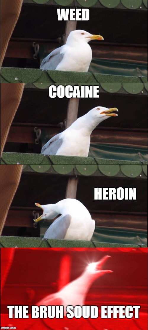 Inhaling Seagull Meme | WEED; COCAINE; HEROIN; THE BRUH SOUD EFFECT | image tagged in memes,inhaling seagull | made w/ Imgflip meme maker