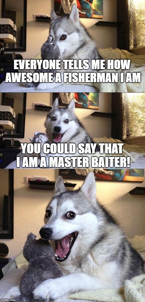 The best fisherman! | EVERYONE TELLS ME HOW AWESOME A FISHERMAN I AM; YOU COULD SAY THAT I AM A MASTER BAITER! | image tagged in memes,bad pun dog | made w/ Imgflip meme maker