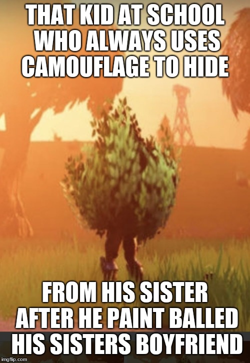 Fortnite bush | THAT KID AT SCHOOL WHO ALWAYS USES CAMOUFLAGE TO HIDE; FROM HIS SISTER AFTER HE PAINT BALLED HIS SISTERS BOYFRIEND | image tagged in fortnite bush | made w/ Imgflip meme maker