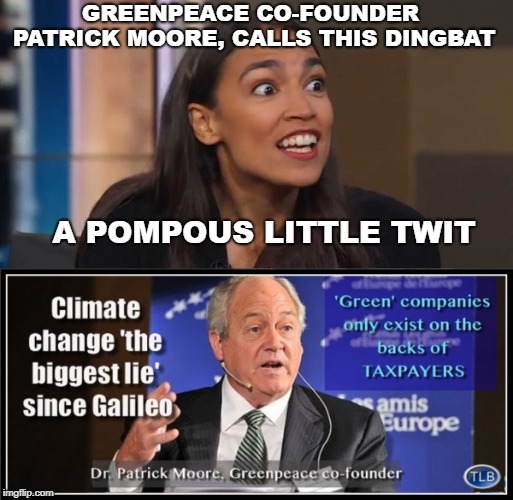 GREENPEACE CO-FOUNDER PATRICK MOORE, CALLS THIS DINGBAT; A POMPOUS LITTLE TWIT | image tagged in lizard woman aoc | made w/ Imgflip meme maker