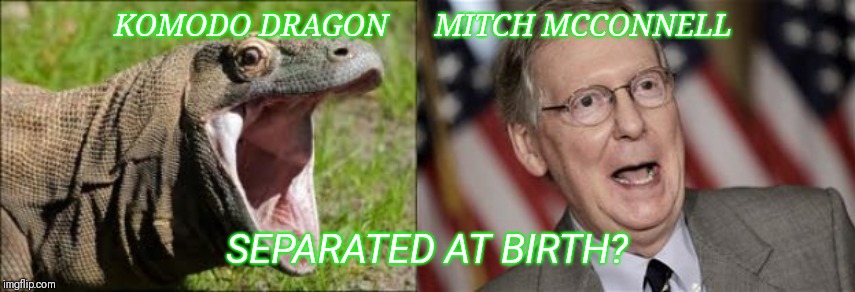KOMODO DRAGON      MITCH MCCONNELL SEPARATED AT BIRTH? | made w/ Imgflip meme maker
