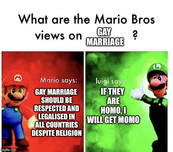 Mario Bros Views | GAY MARRIAGE; IF THEY ARE HOMO, I WILL GET MOMO; GAY MARRIAGE SHOULD BE RESPECTED AND LEGALISED IN ALL COUNTRIES DESPITE RELIGION | image tagged in mario bros views | made w/ Imgflip meme maker