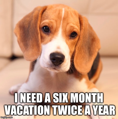 I NEED A SIX MONTH VACATION TWICE A YEAR | made w/ Imgflip meme maker
