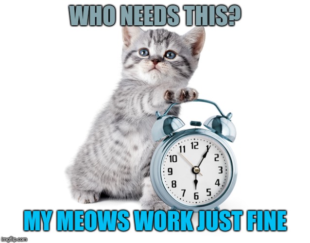 Kitty with alarm clock | WHO NEEDS THIS? MY MEOWS WORK JUST FINE | image tagged in kitty with alarm clock | made w/ Imgflip meme maker