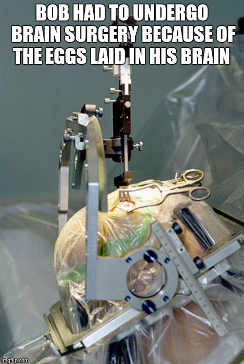 BOB HAD TO UNDERGO BRAIN SURGERY BECAUSE OF THE EGGS LAID IN HIS BRAIN | made w/ Imgflip meme maker
