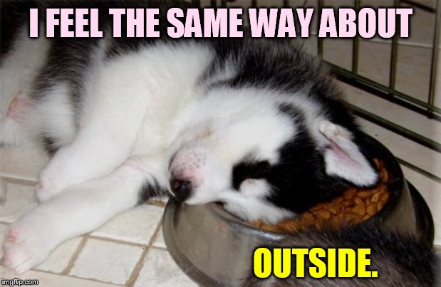 I FEEL THE SAME WAY ABOUT OUTSIDE. | made w/ Imgflip meme maker