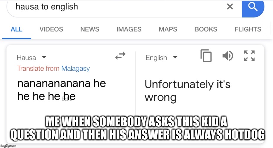 Y U No Answer A Kid A Question And He Is An Idiot | ME WHEN SOMEBODY ASKS THIS KID A QUESTION AND THEN HIS ANSWER IS ALWAYS HOTDOG | image tagged in google translate | made w/ Imgflip meme maker