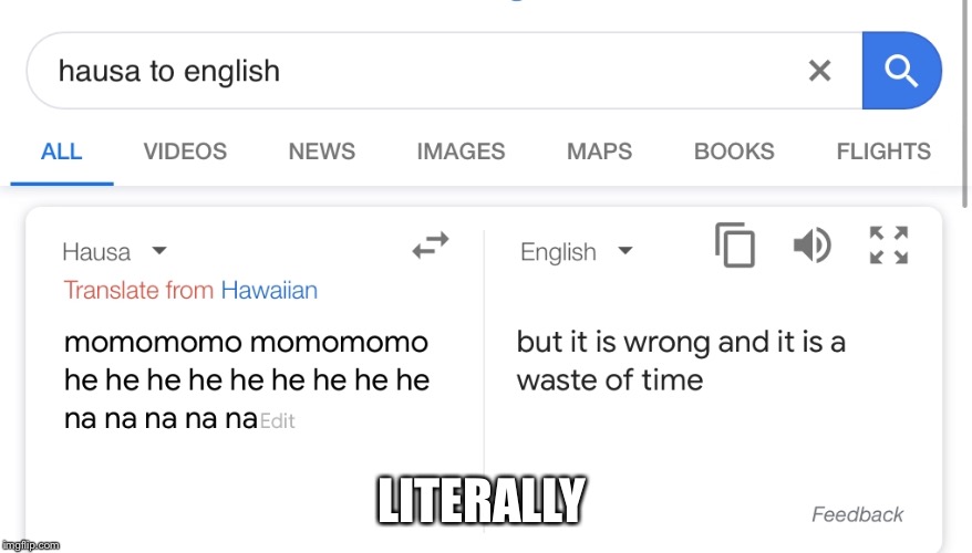 LITERALLY | image tagged in google translate | made w/ Imgflip meme maker