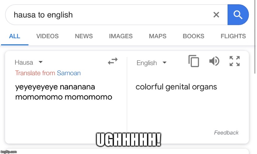 UGHHHHH! | image tagged in google translate | made w/ Imgflip meme maker