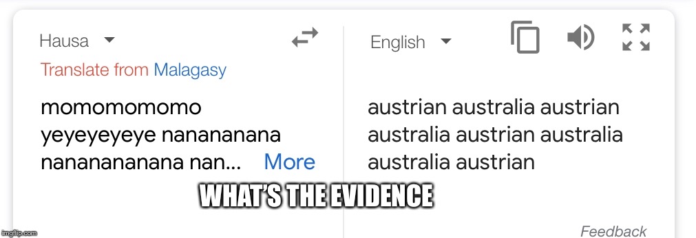 THE EVIDENCE BETWEEN Austria and Australia  | WHAT’S THE EVIDENCE | image tagged in google translate,austria,australia | made w/ Imgflip meme maker