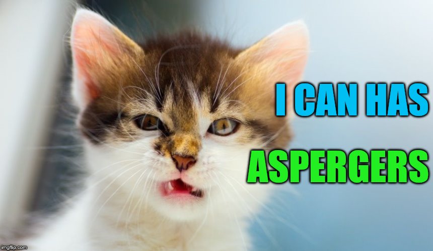 Aspergers cat | I CAN HAS; ASPERGERS | image tagged in i can has aspergers,aspergers cat,memes,spectrum | made w/ Imgflip meme maker